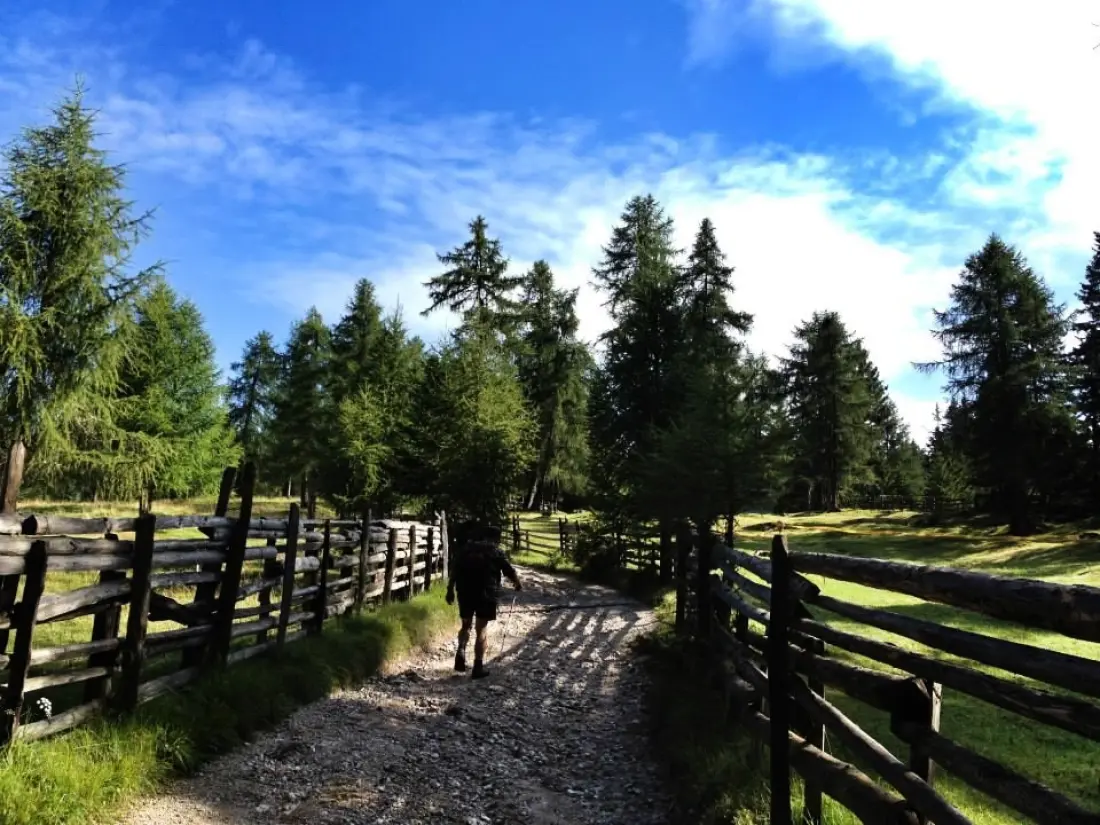 Camping Park Baita Dolomiti Village 3 étoiles★★★