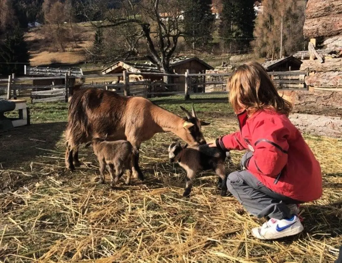 Camping Park Baita Dolomiti Village 3 étoiles★★★