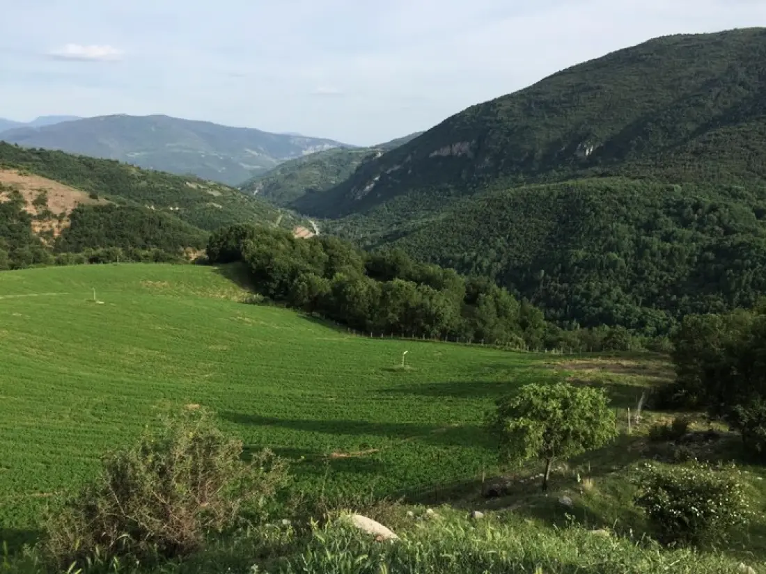 La Fusteria del Casat