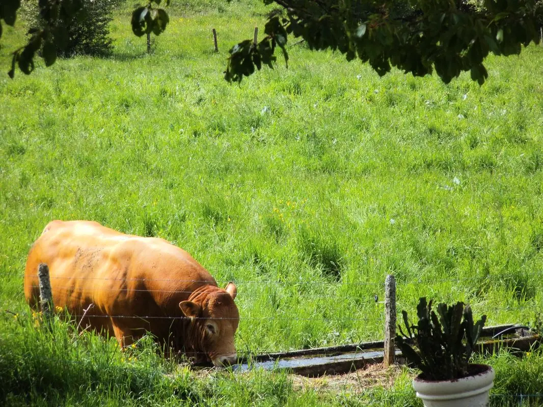 Gîte de France Chez dédé et léa 3 épis