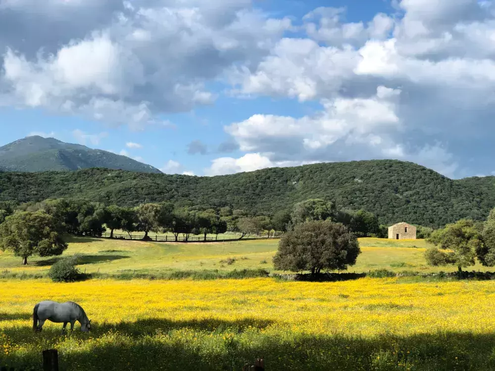 Camping Olva 3 étoiles★★★