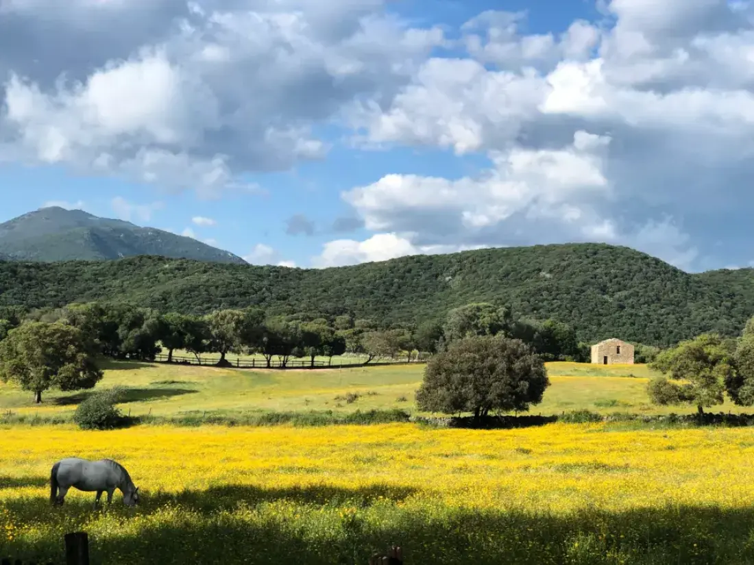 Camping Olva 3 étoiles★★★