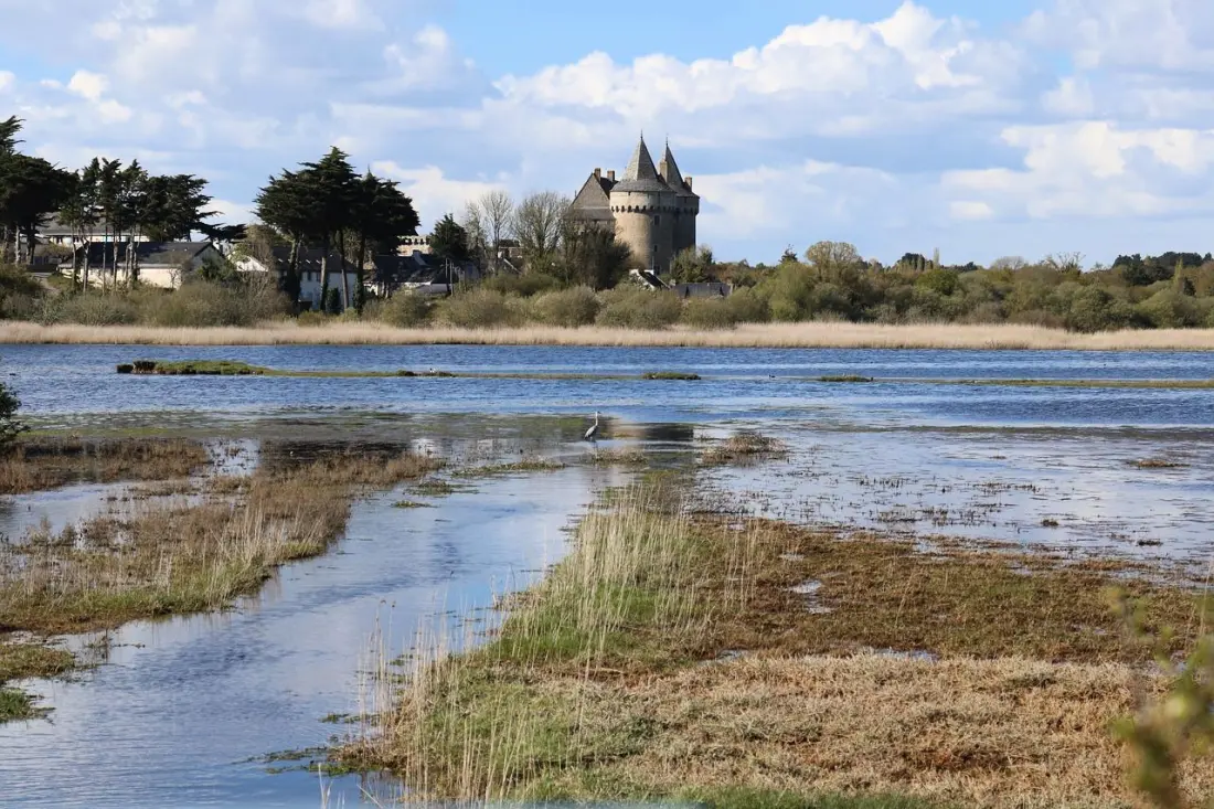 Gîte de France Ar bazeu duchess 2 épis