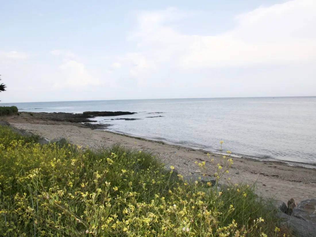 Location de Vacances Sarzeau 126