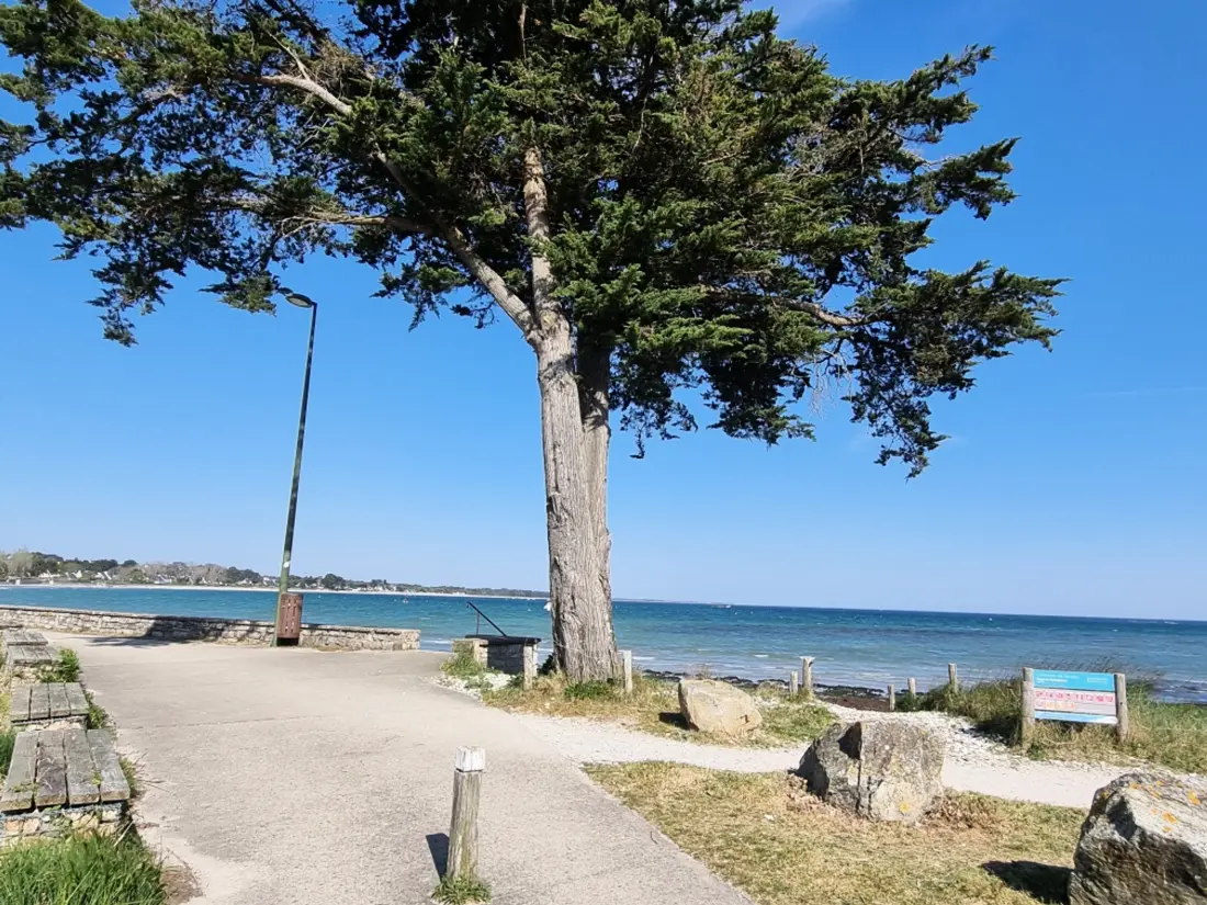 Location de Vacances Sarzeau 126