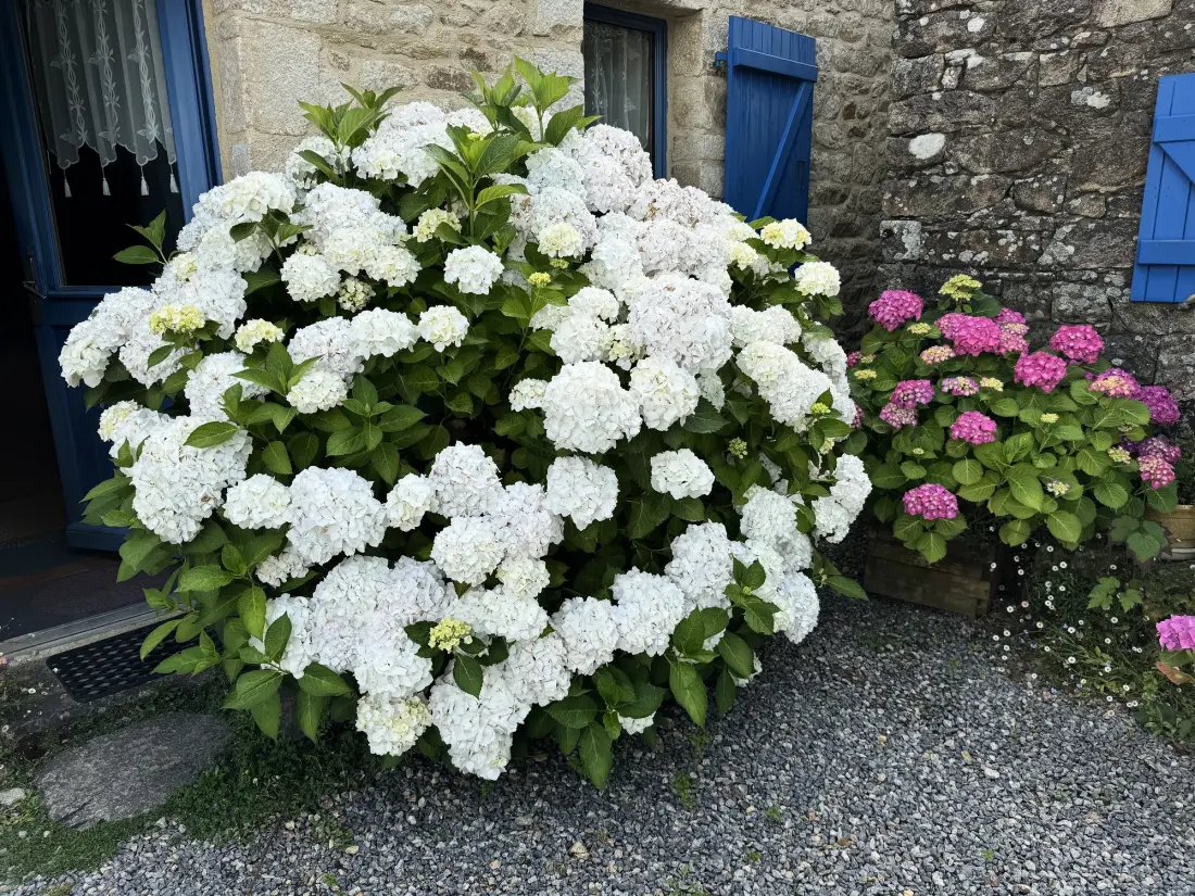 Maison à Sarzeau