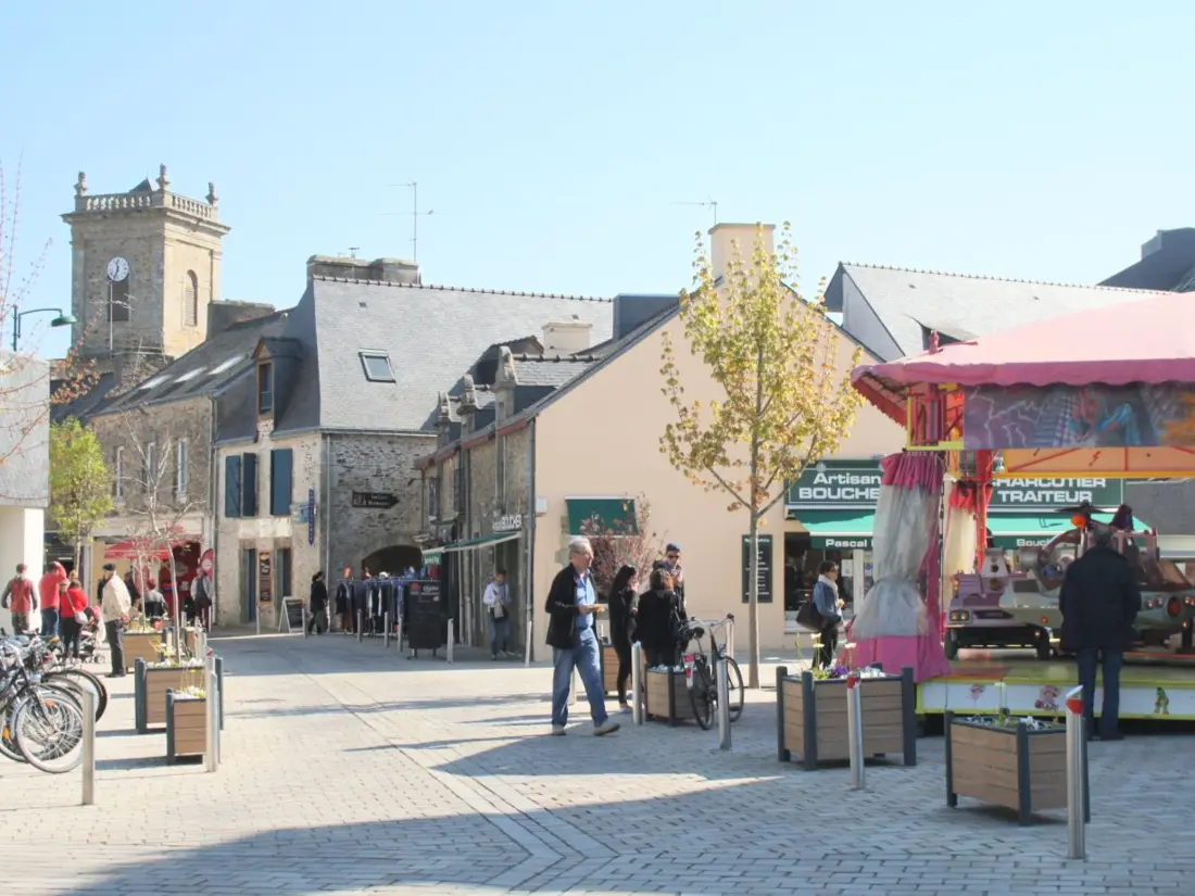 Maison de Vacances Sarzeau 108