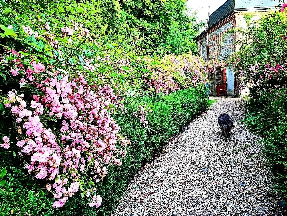 Gîte de France Gîtes de france® - l' aile du château de briquedalles 3 épis