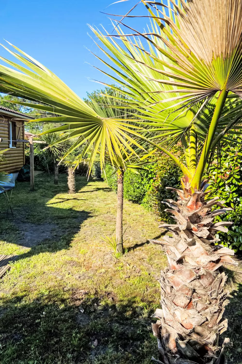 Maison de Vacances Saubion