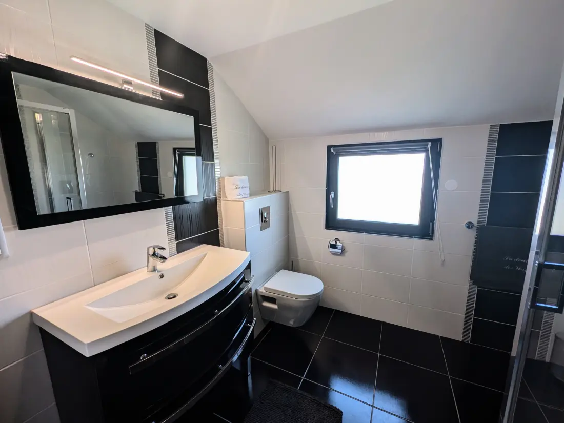 Maison de Vacances Saulcy-sur-Meurthe 10
