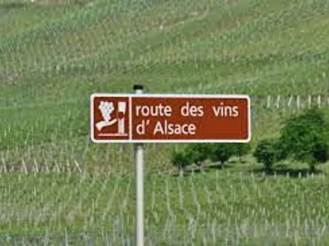 Maison de Vacances Saulcy-sur-Meurthe 2