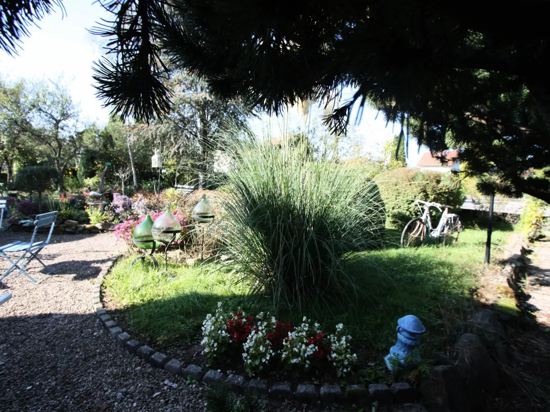 Maison de Vacances Saulcy-sur-Meurthe