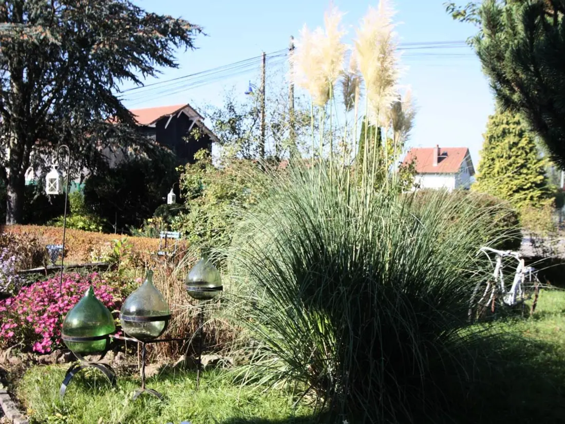 Maison de Vacances Saulcy-sur-Meurthe