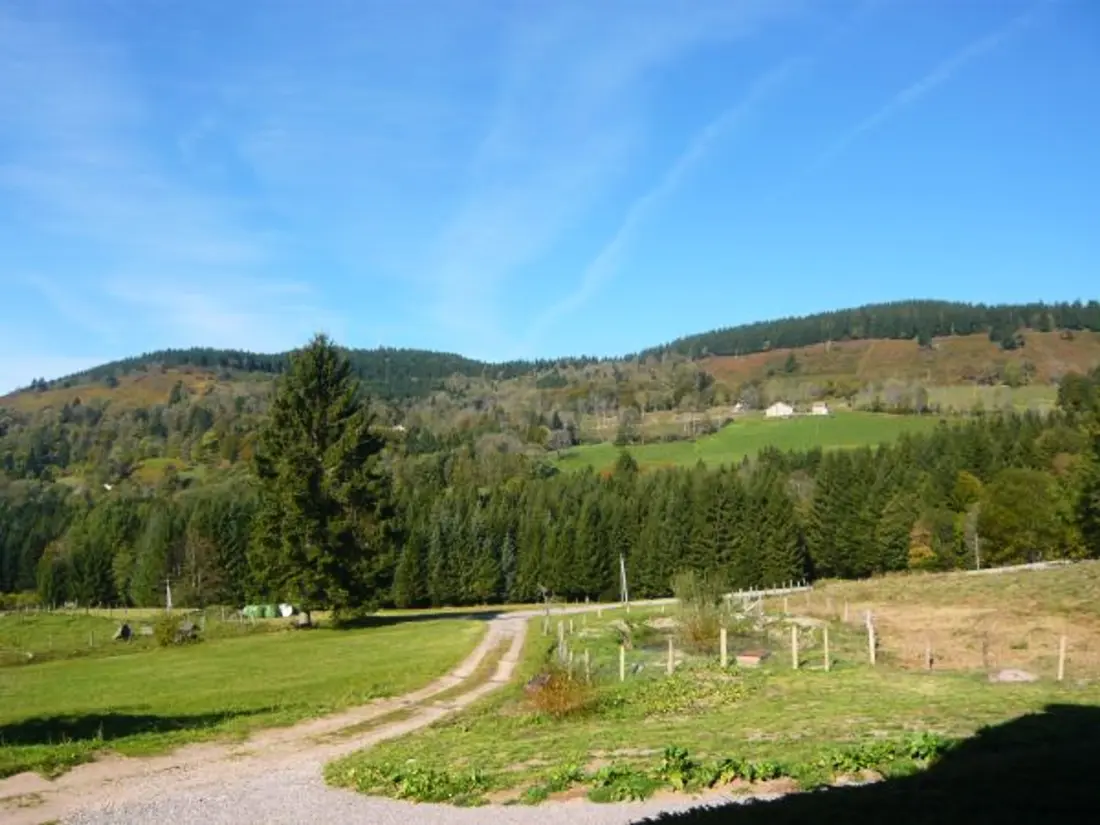 Maison de Vacances Saulxures-sur-Moselotte 3
