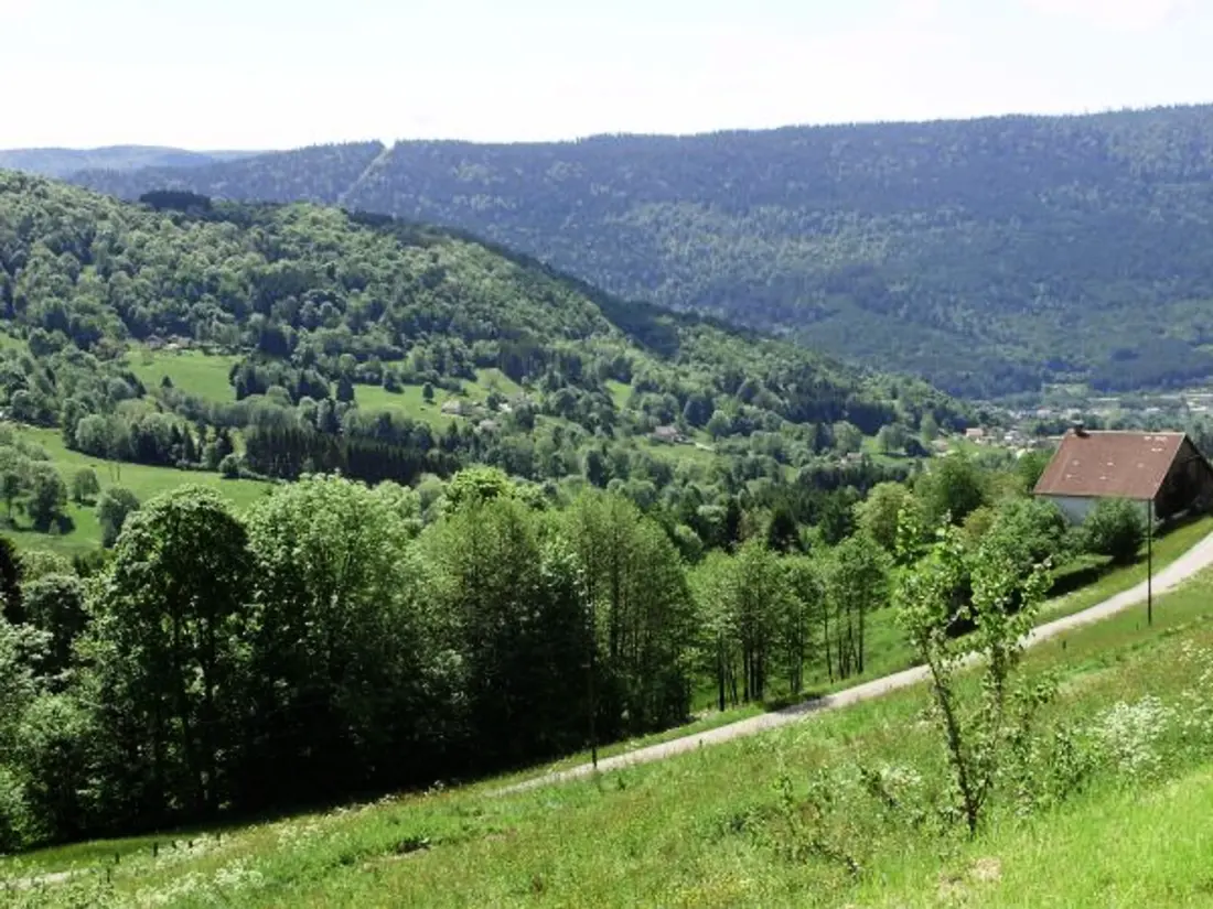 Maison de Vacances Saulxures-sur-Moselotte 5