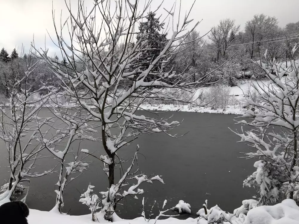 Maison de Vacances Saulxures-sur-Moselotte 8