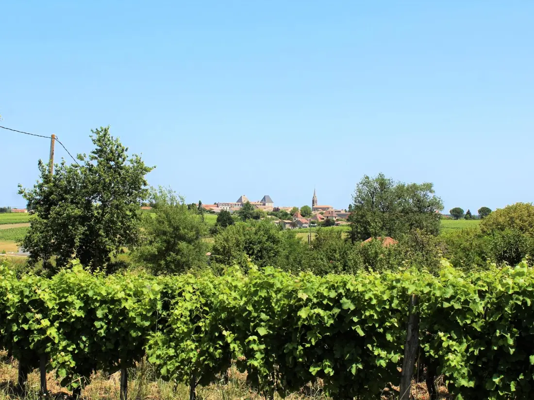 Maison de Vacances SAUSSIGNAC