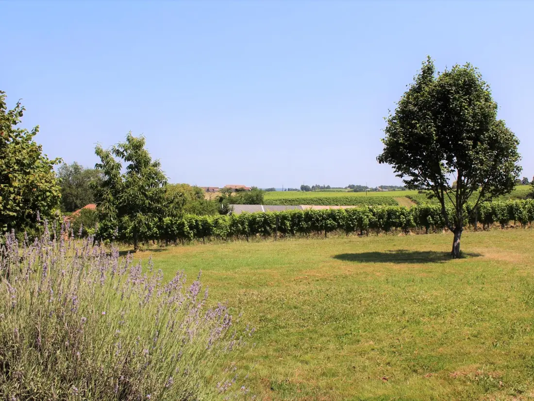 Maison de Vacances SAUSSIGNAC