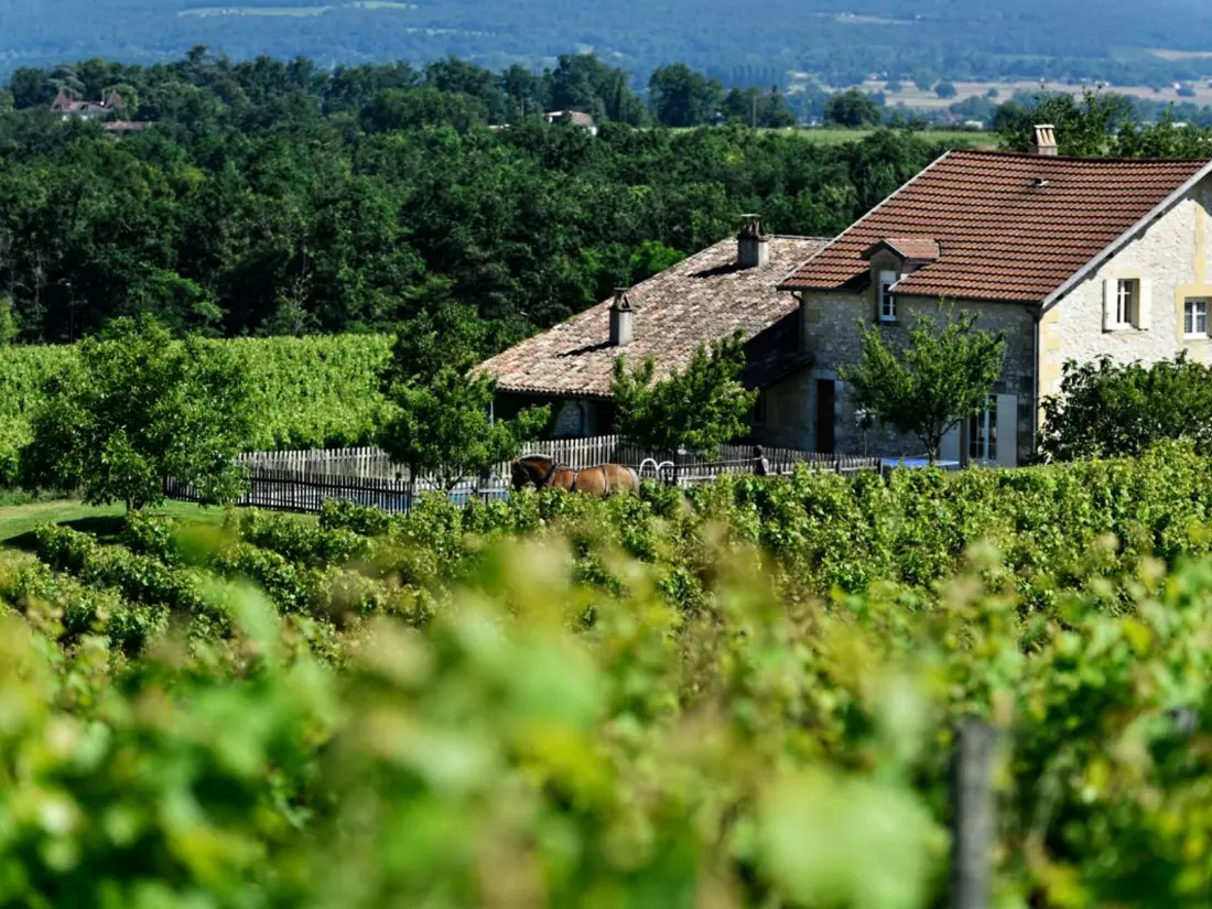 Maison de Vacances SAUSSIGNAC