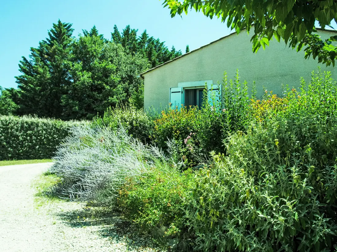 Maison de Vacances Sauve