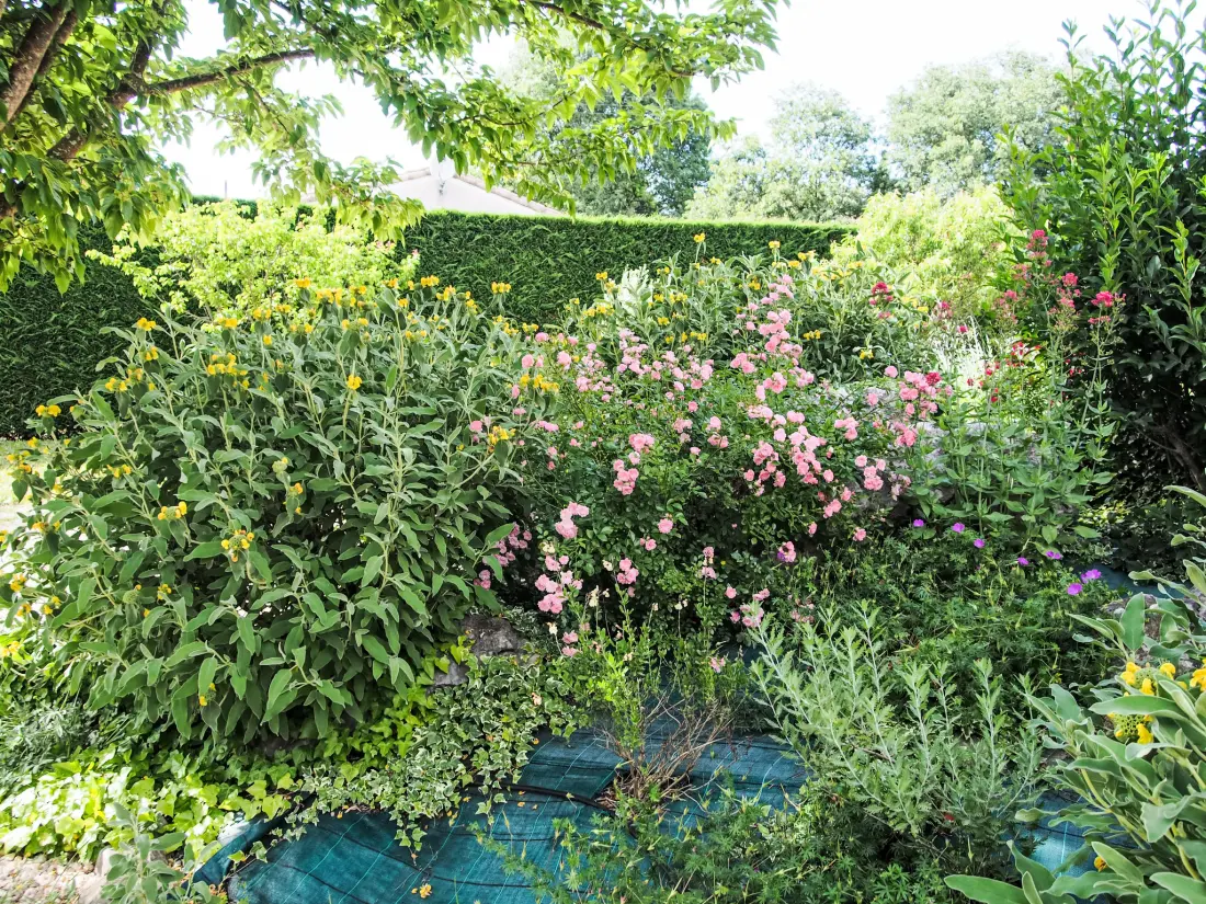 Maison de Vacances Sauve