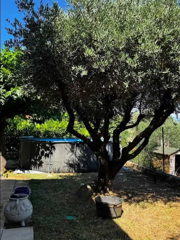 Maison Avec Piscine, Clim Et Vue Ventoux