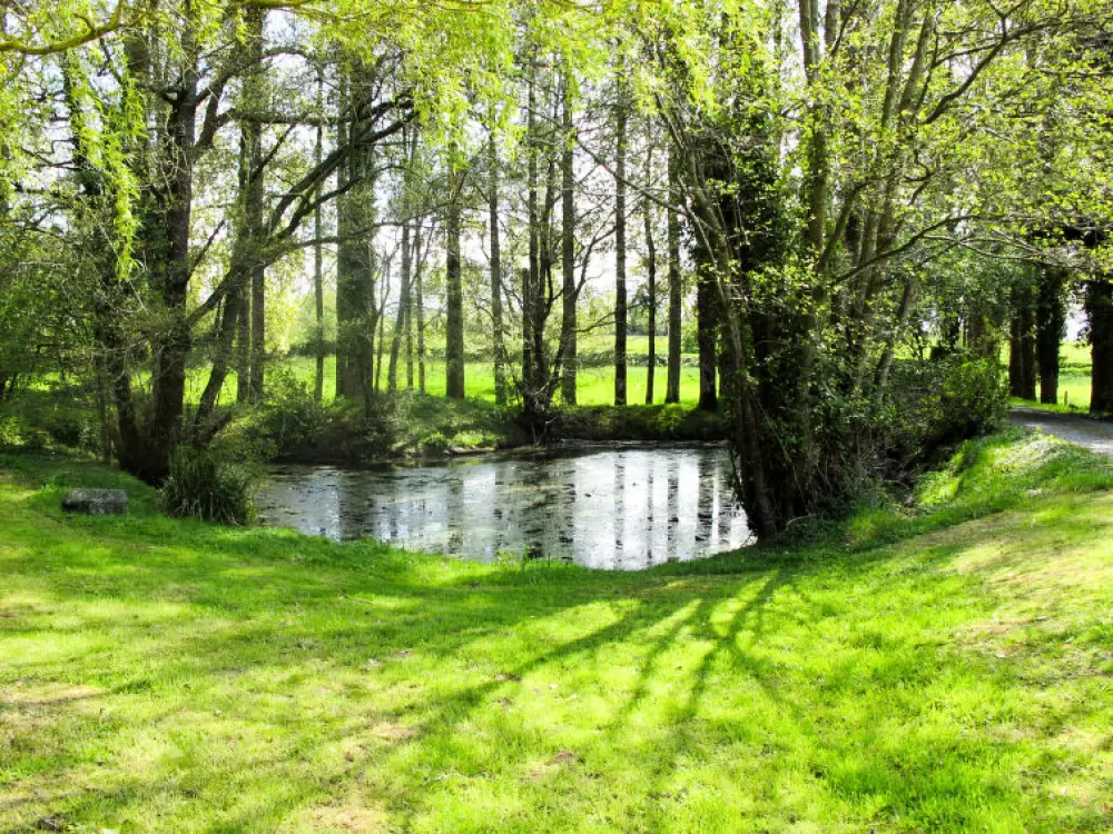 Maison de Vacances Savigny