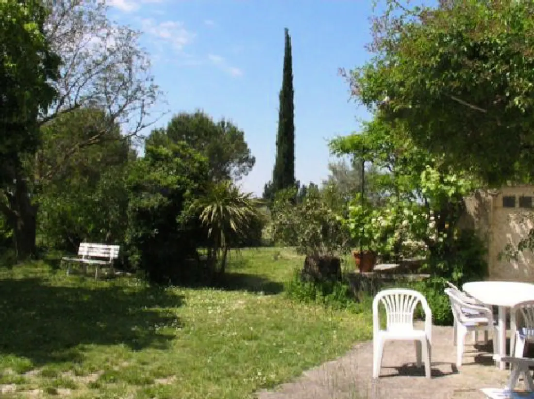 Le Vignoble