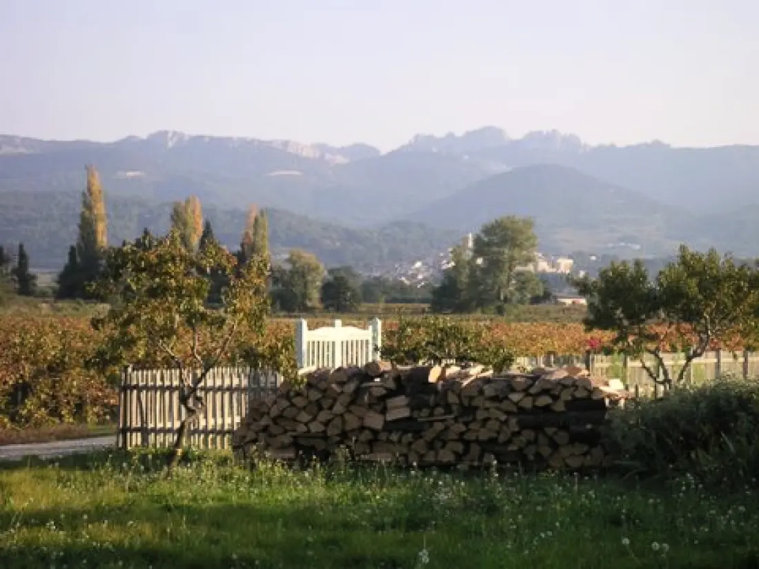 Le Vignoble