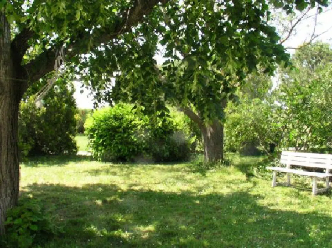 Le Vignoble