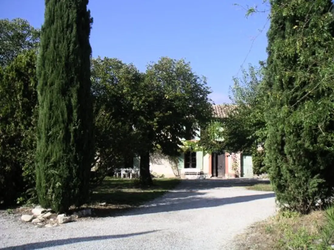 Le Vignoble
