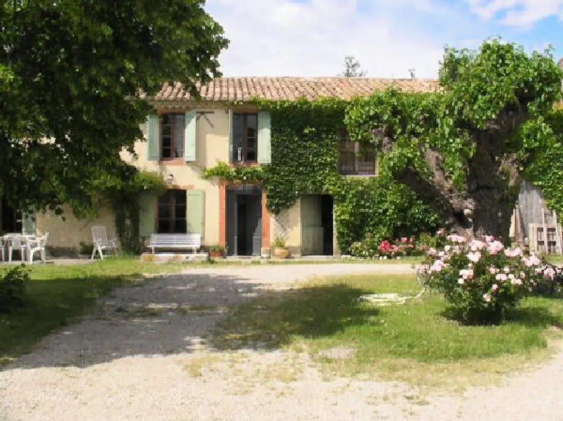 Le Vignoble