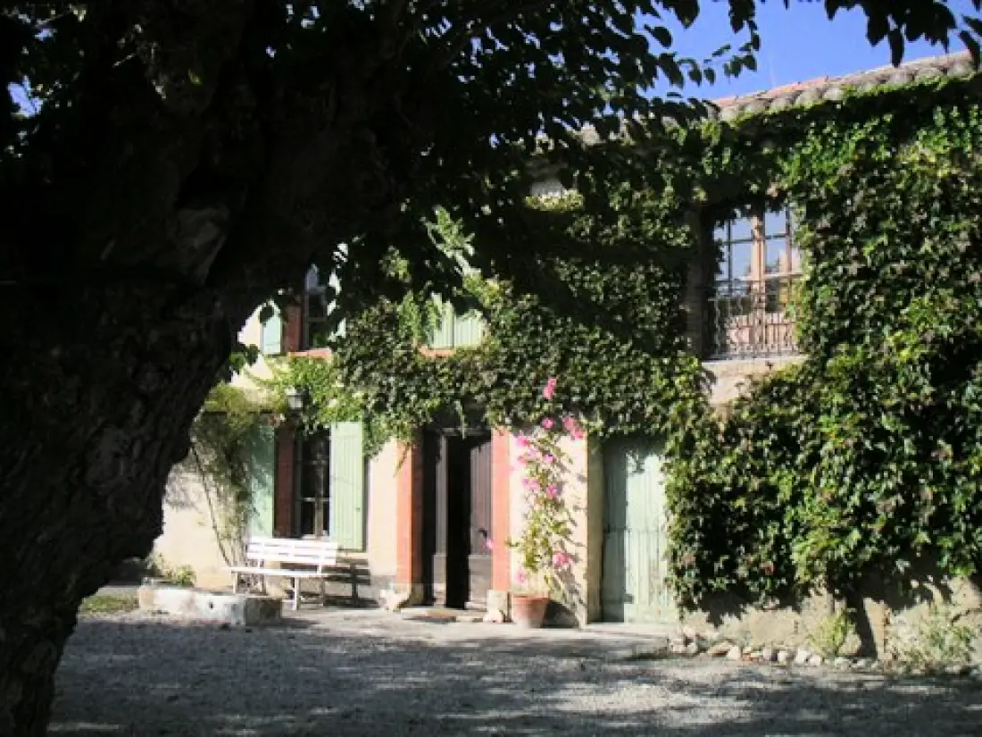 Le Vignoble