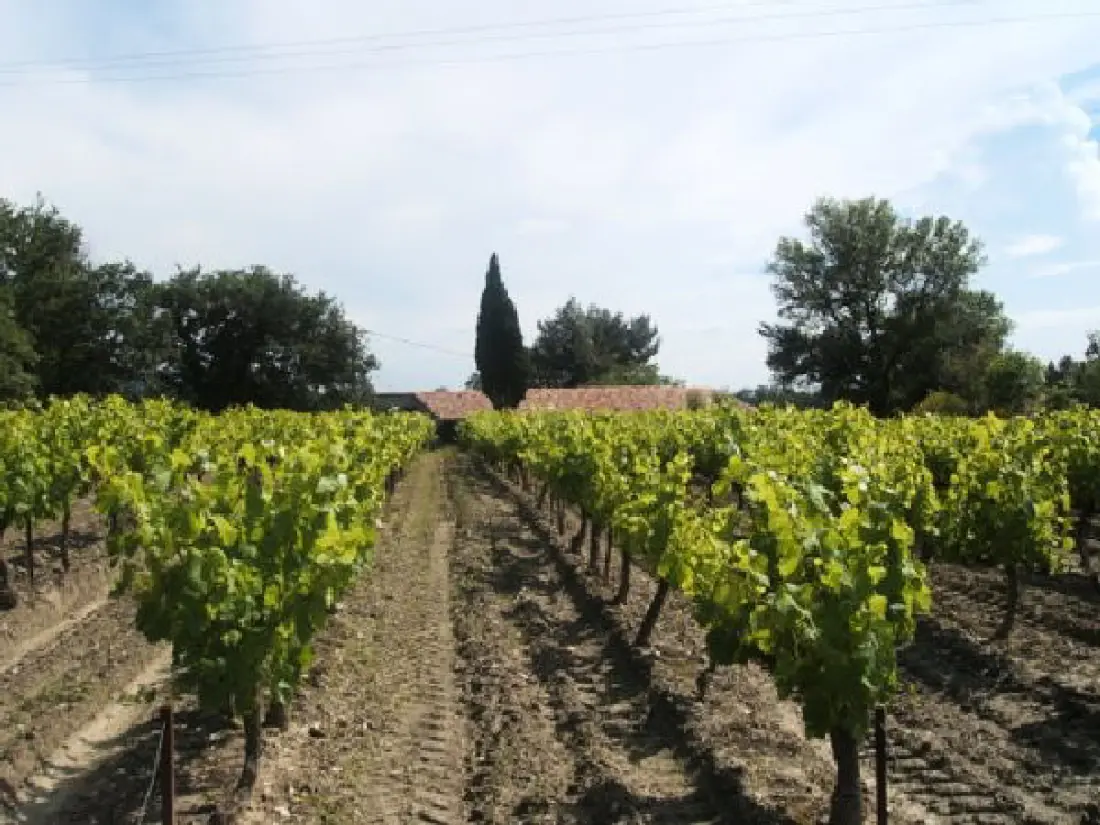 Villa des Mascarons