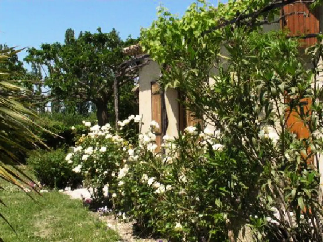 Villa Pinocchio