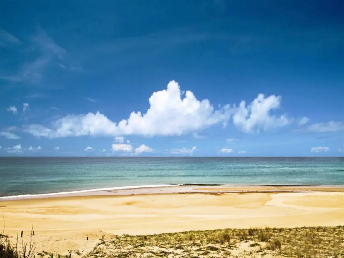 Location de Vacances Seignosse 115