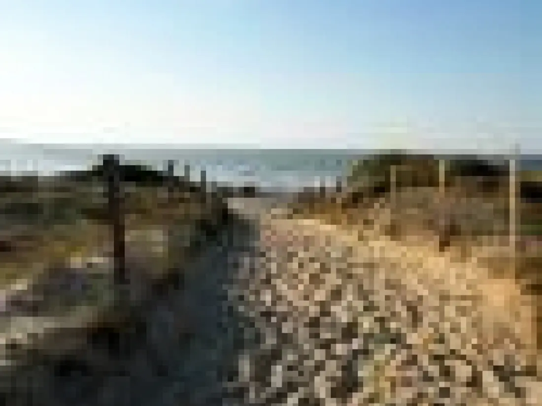 Location de Vacances Seignosse 136