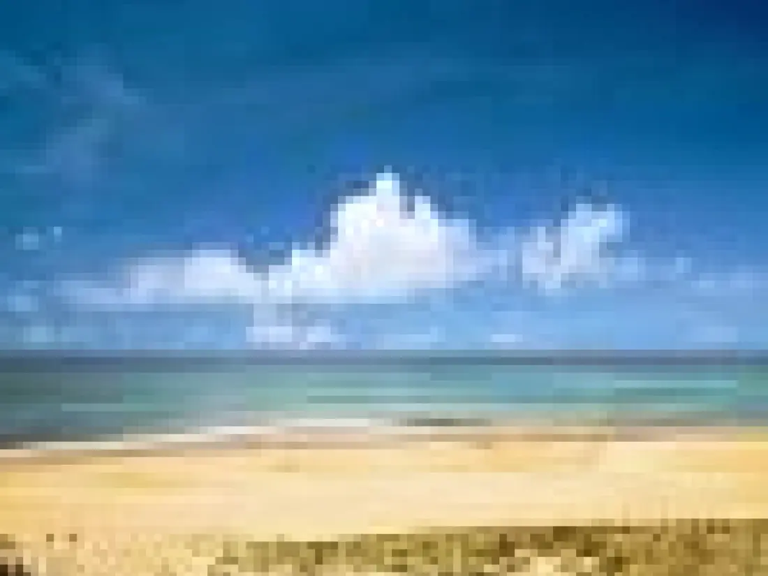 Location de Vacances Seignosse 136