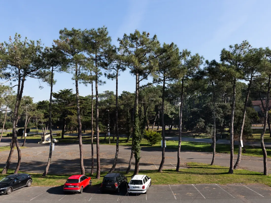 Location de Vacances Seignosse 271