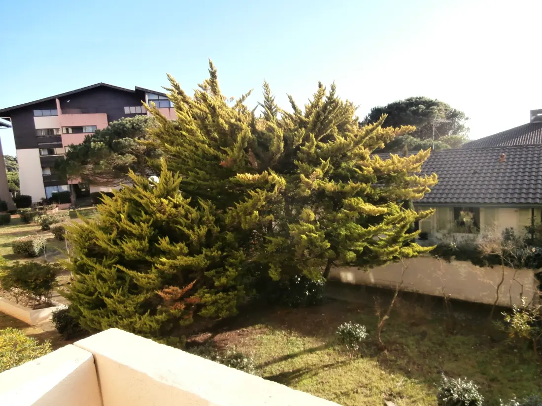 Location de Vacances Seignosse 272