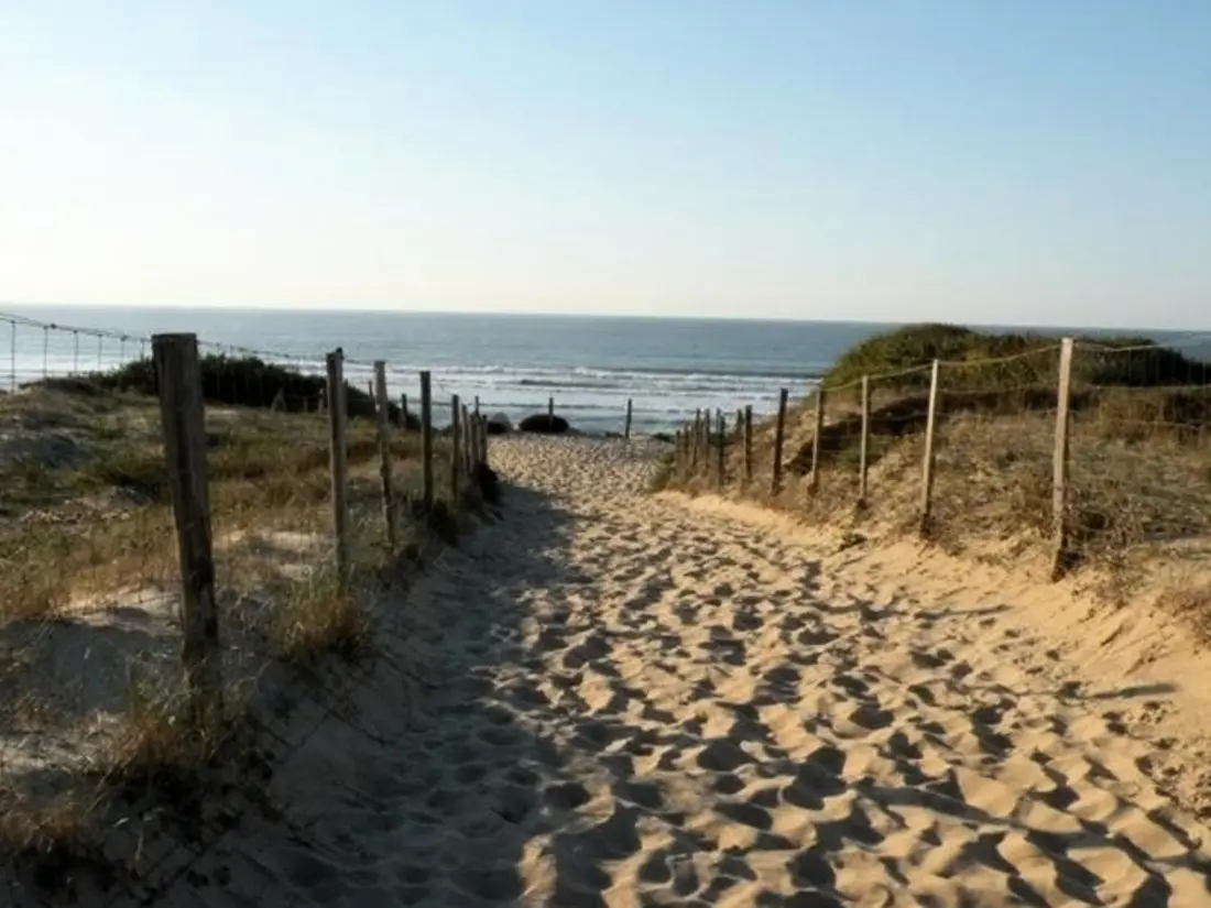 Location de Vacances Seignosse 272