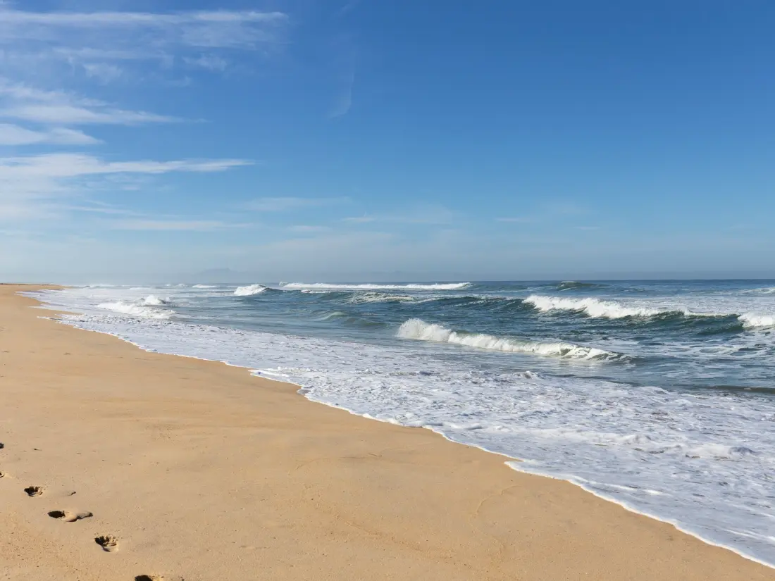 Location de Vacances Seignosse 276