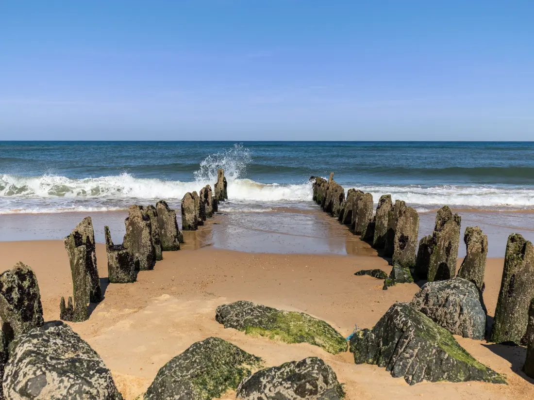 Location de Vacances Seignosse 279
