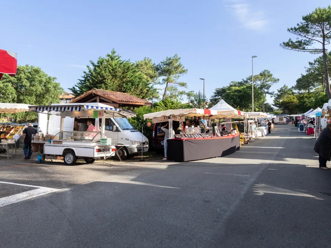 Location de Vacances Seignosse 3