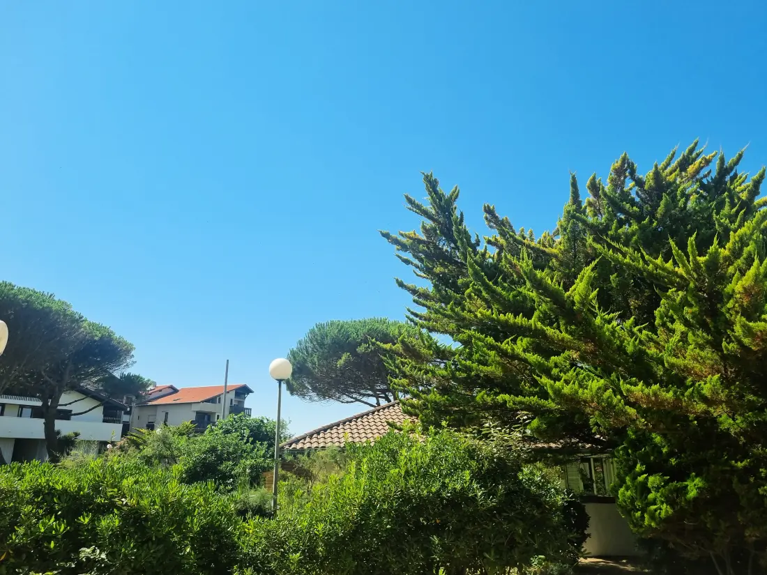 Location de Vacances Seignosse 356