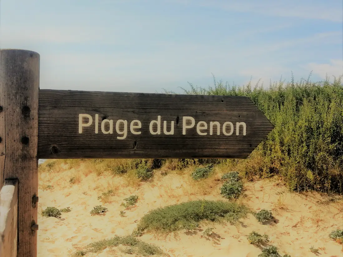 Location de Vacances Seignosse 356