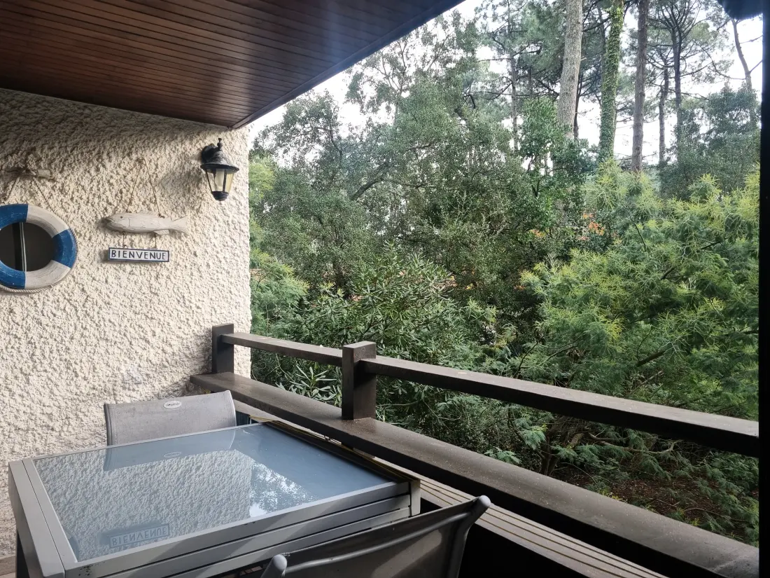 Location de Vacances Seignosse 358
