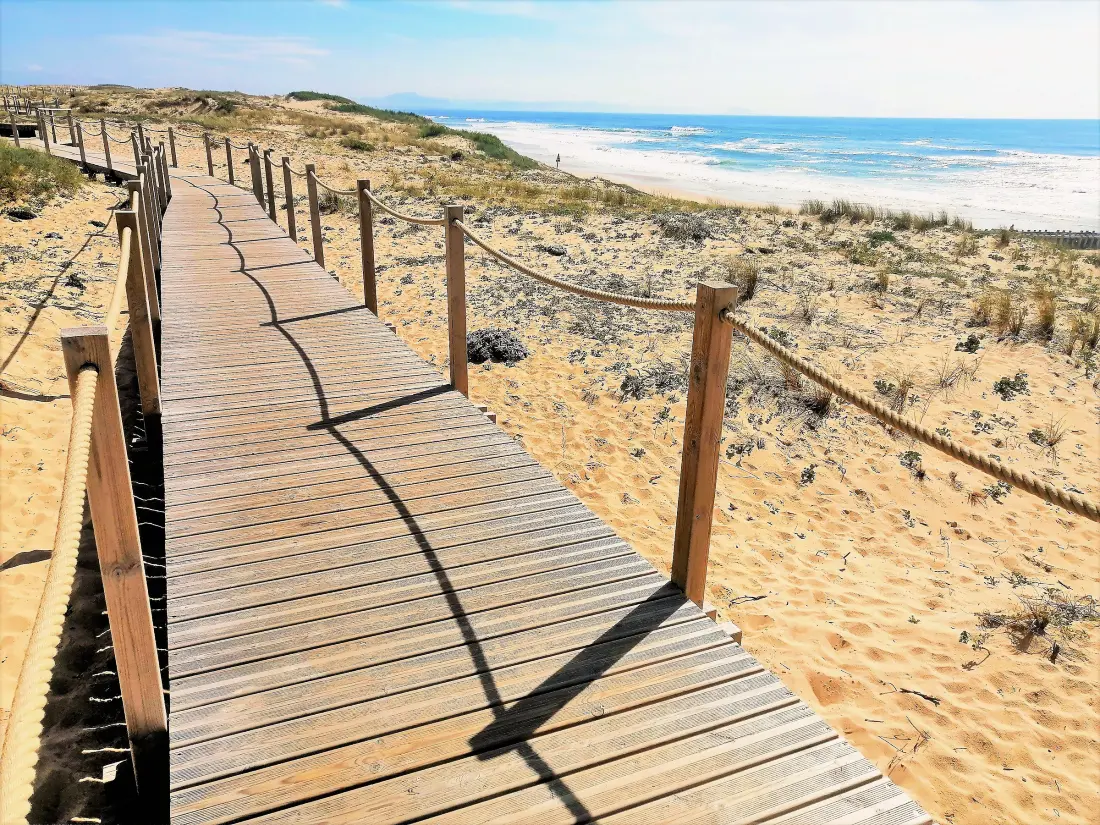 Location de Vacances Seignosse 360