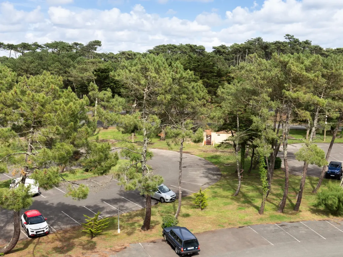 Location de Vacances Seignosse 39