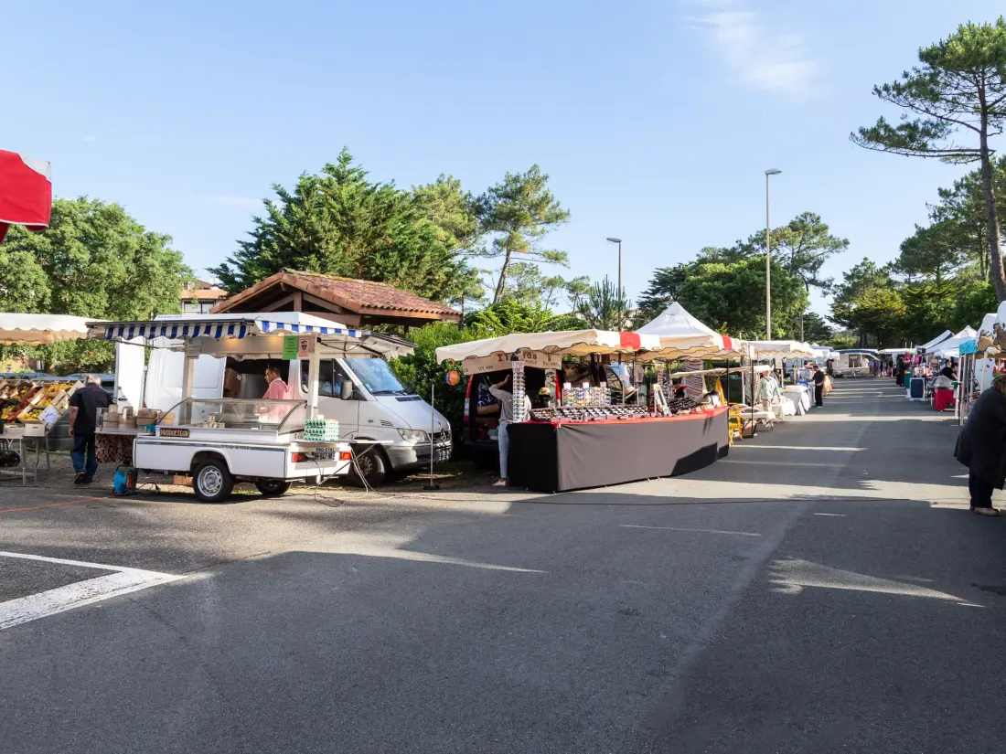 Location de Vacances Seignosse 39